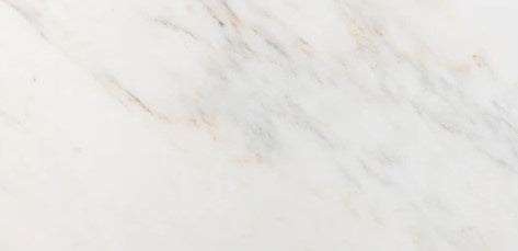 Calacatta Premio Marble Tile - 12" x 24" Honed