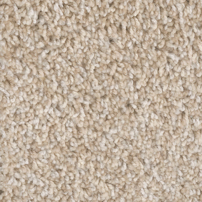 West Brow Polyester Crystal Coast 179 Carpet Textured 1