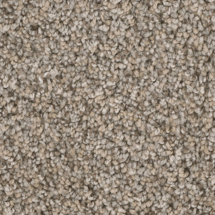 West Brow Polyester Canyon Bluff 243 Carpet Textured 1