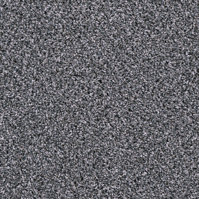 West Brow Polyester Pearl Slate 246 Carpet Textured 1