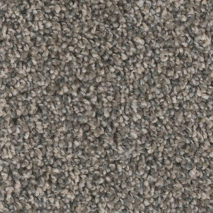 West Brow Polyester Iron Sands 252 Carpet Textured 1