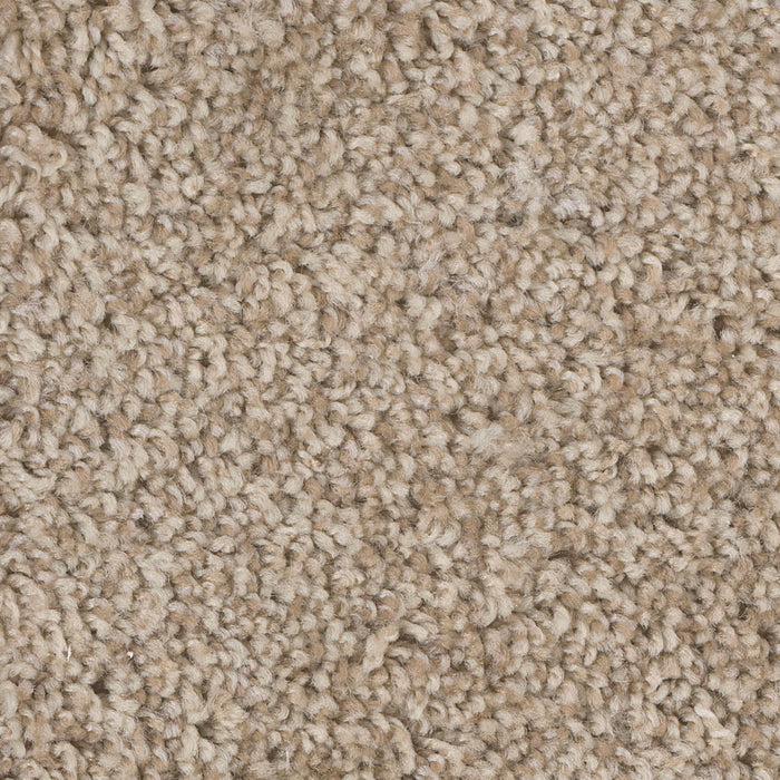 West Brow Polyester Rusty Opal 263 Carpet Textured 1