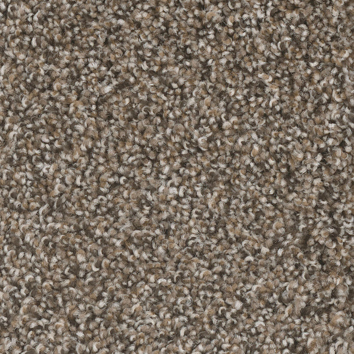 West Brow Polyester Copper Mine 314 Carpet Textured 1