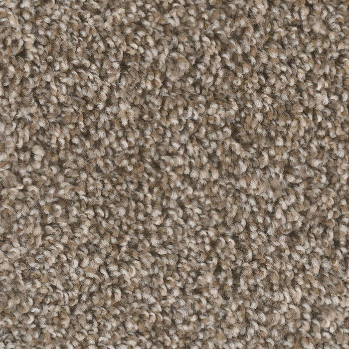 West Brow Polyester Toasted Chestnut 385 Carpet Textured 1