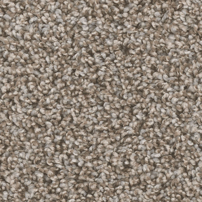West Brow Polyester Granite 444 Carpet Textured 1