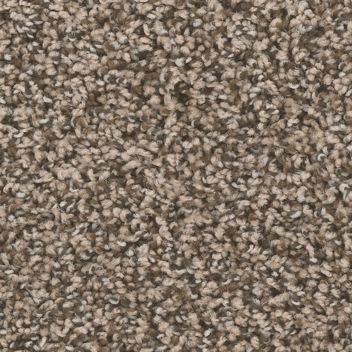 West Brow Polyester Bedrock 460 Carpet Textured 1