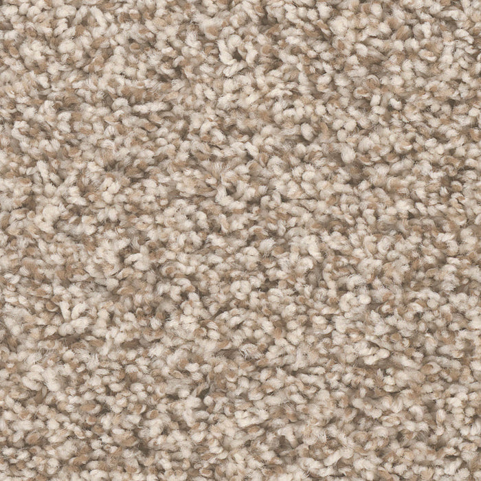 West Brow Polyester Agate 513 Carpet Textured 1