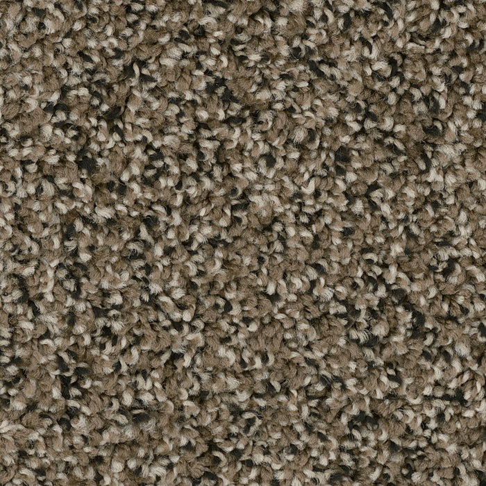 West Brow Polyester Magnetite 726 Carpet Textured 1
