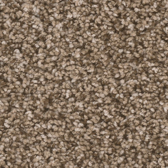 West Brow Polyester Bramble 845 Carpet Textured 1