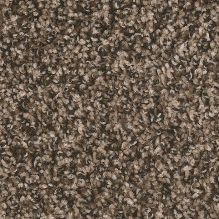 West Brow Polyester Pepper Ridge 904 Carpet Textured 1