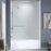 Stainless Steel Brushed Nickel Shower Door Brushed Nickel 1
