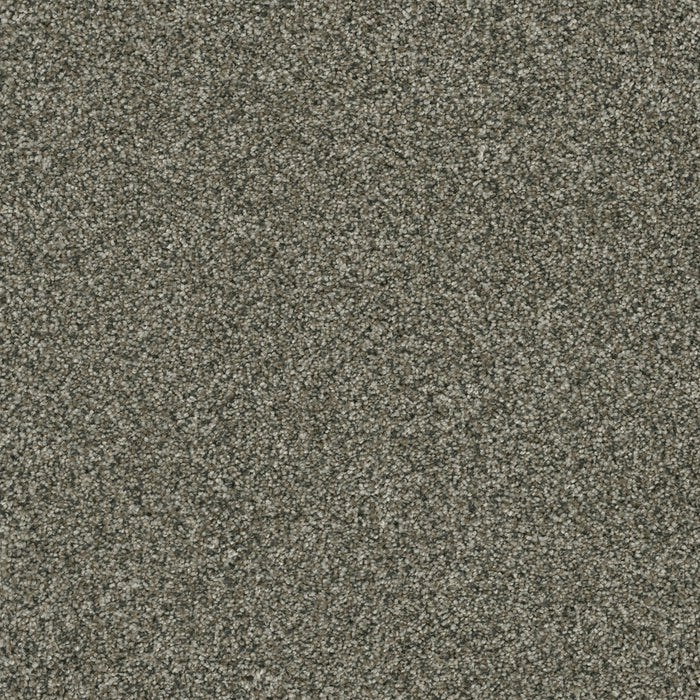 Brazen II Polyester Millstone 197 Carpet Textured 1