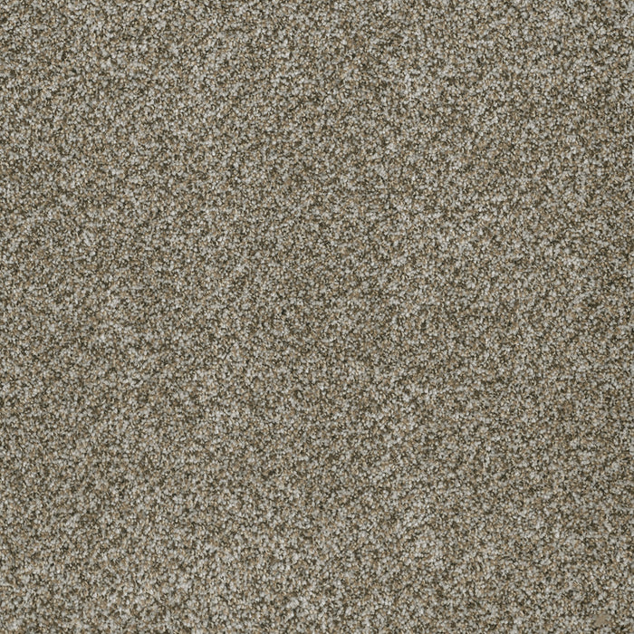 Brazen I Polyester Moonshine 250 Carpet Textured 1