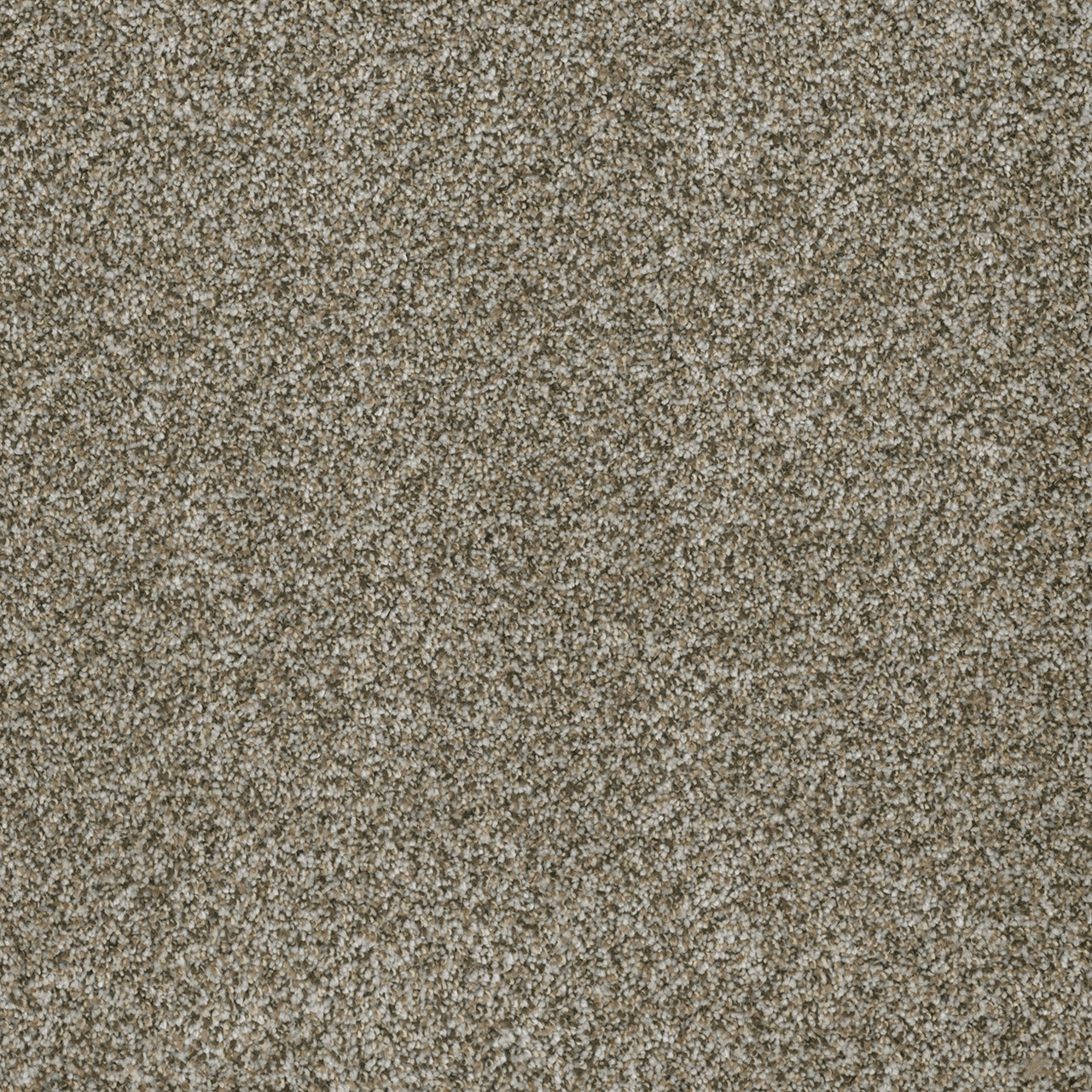 DreamWeaver Brazen II 250 Moonshine Textured Polyester Carpet