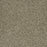 Brazen II Polyester Sedona 343 Carpet Textured 1