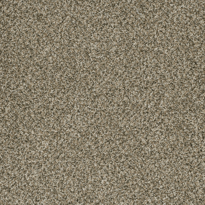 Brazen II Polyester Sedona 343 Carpet Textured 1
