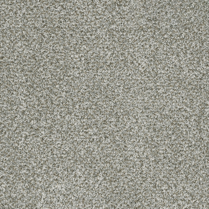 Brazen II Polyester Purity 407 Carpet Textured 1