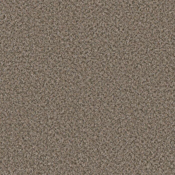 Brazen II Polyester Beach Walk 4385 Carpet Textured 1