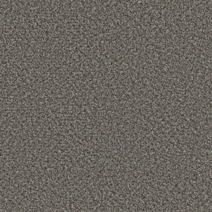 Brazen II Polyester Bayou 4636 Carpet Textured 1