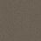Brazen I Polyester Warm & Toasty 4734 Carpet Textured 1
