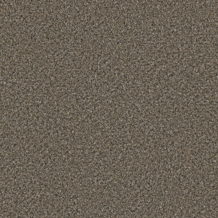 Brazen II Polyester Warm & Toasty 4734 Carpet Textured 1
