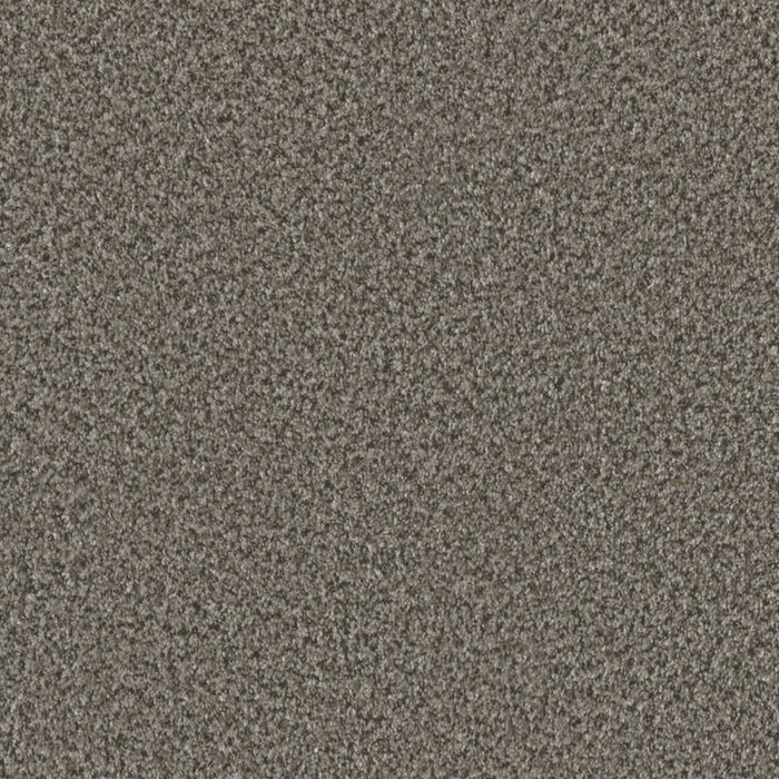 Brazen II Polyester Windswept 4832 Carpet Textured 1