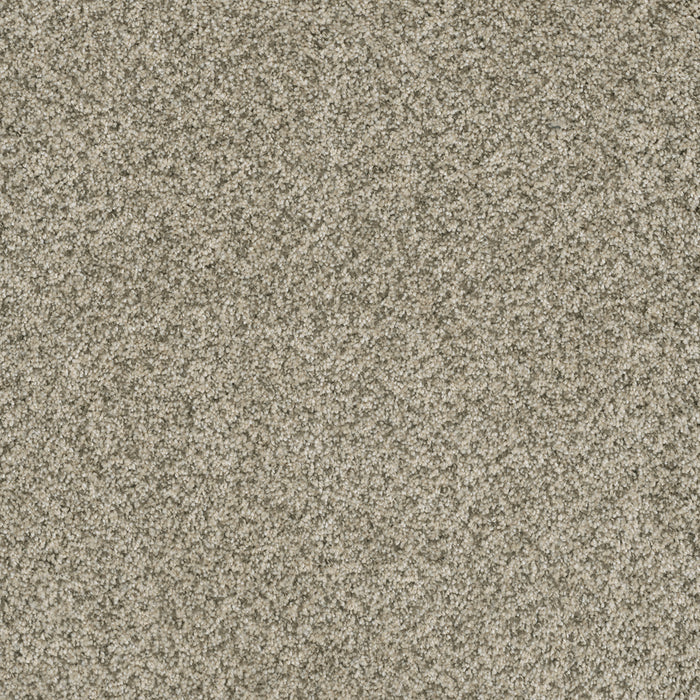 Brazen I Polyester Acadia 596 Carpet Textured 1