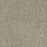 Brazen II Polyester Acadia 596 Carpet Textured 1