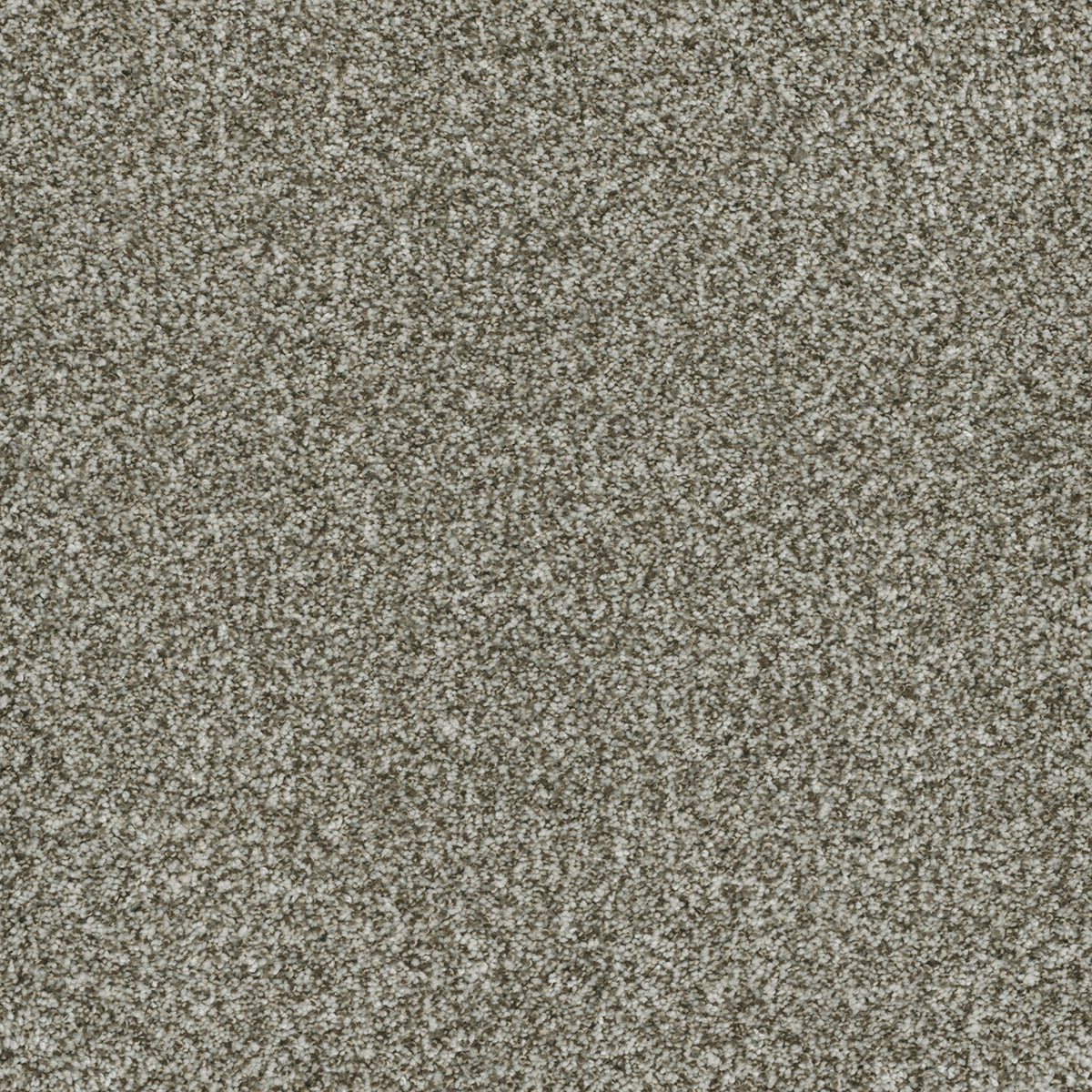DreamWeaver Brazen I 848 Clove Textured Polyester Carpet — Stone