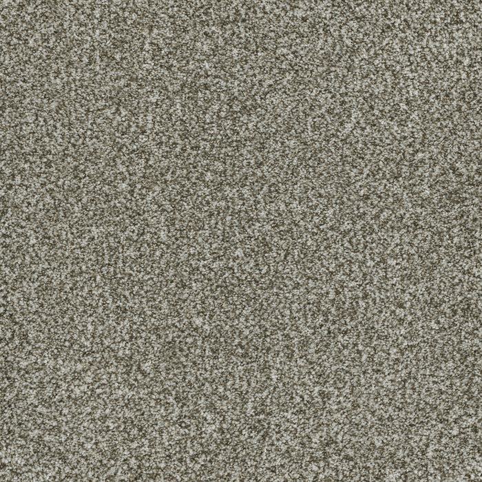 Brazen II Polyester Clove 848 Carpet Textured 1