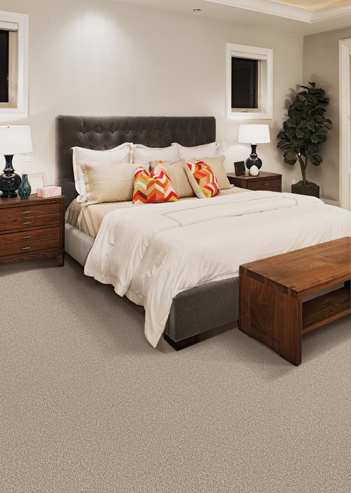 Brazen I Polyester Sedona 343 Carpet Textured 2