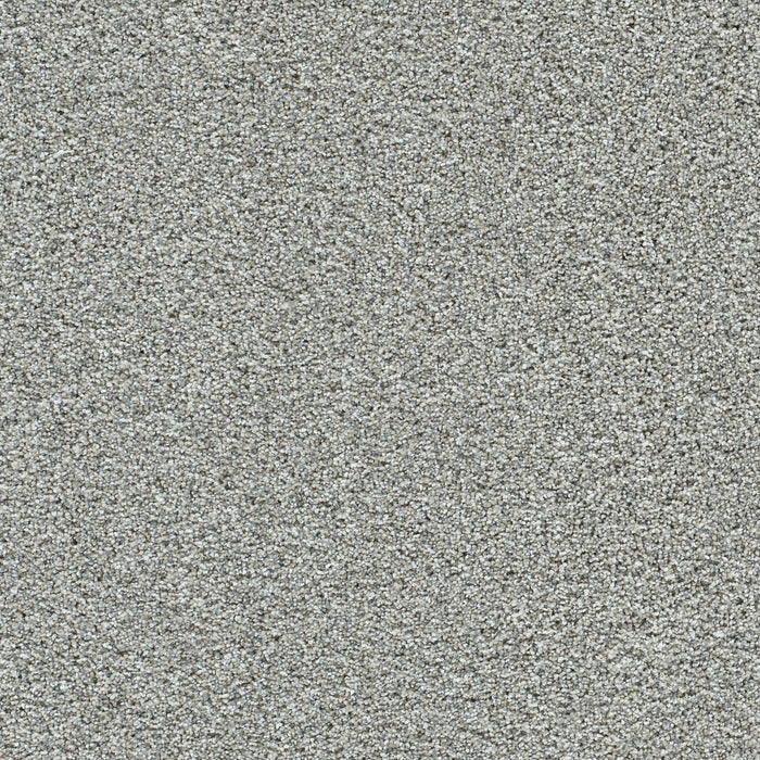 Autumn Glow III Polyester Altavista 4107 Carpet Textured 1