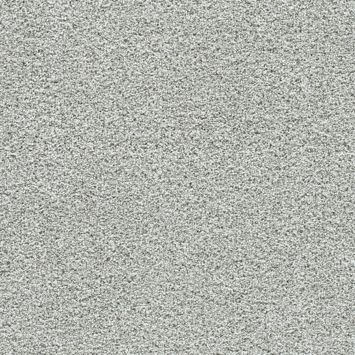 Autumn Glow III Polyester Dew Drop 4264 Carpet Textured 1