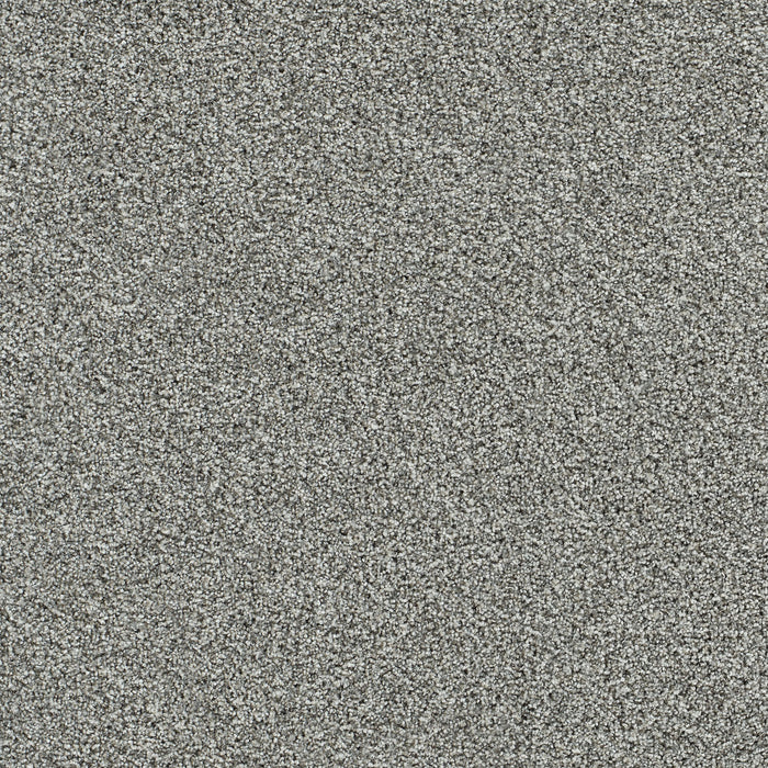 Autumn Glow III Polyester Luminous 4325 Carpet Textured 1