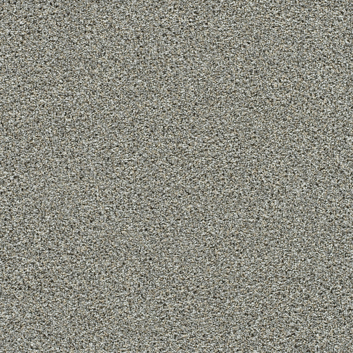 Autumn Glow I Polyester October Mist 4574 Carpet Textured 1