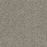 Autumn Glow I Polyester Salted Toffee 4591 Carpet Textured 1