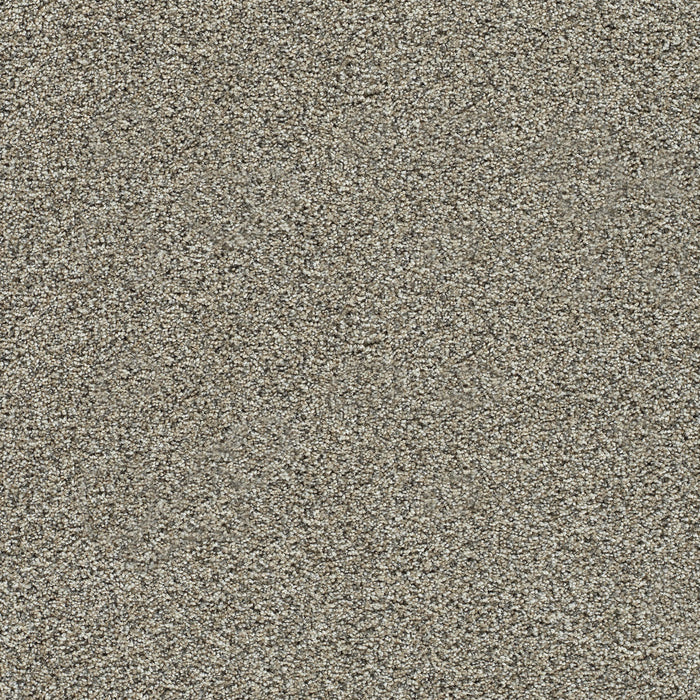 Autumn Glow I Polyester Salted Toffee 4591 Carpet Textured 1