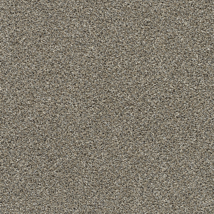 Autumn Glow II Polyester Warm Spice 4660 Carpet Textured 1
