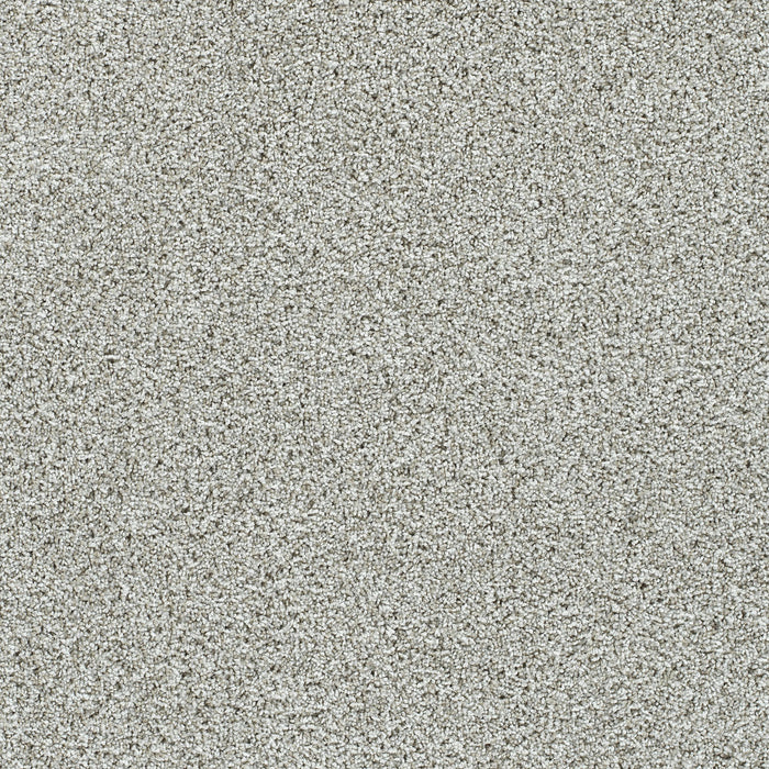 Autumn Glow I Polyester Cloudland 4679 Carpet Textured 1