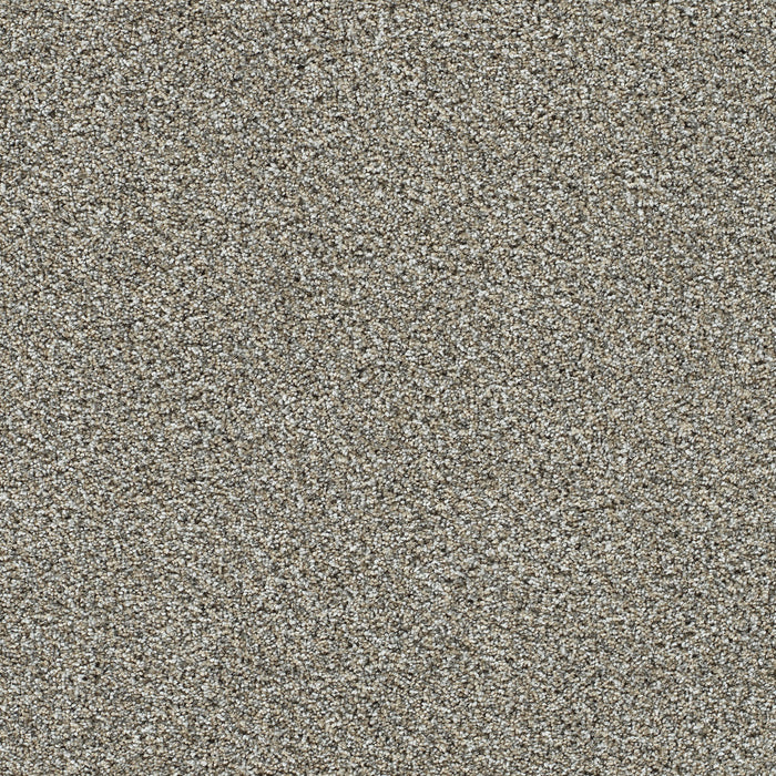 Autumn Glow III Polyester Caramel Swirl 4773 Carpet Textured 1