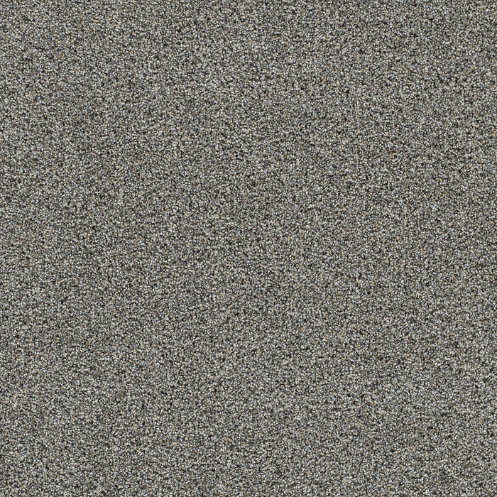 Autumn Glow I Polyester Elmridge 4870 Carpet Textured 1