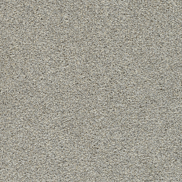 Autumn Glow II Polyester Whisper 5014 Carpet Textured 1