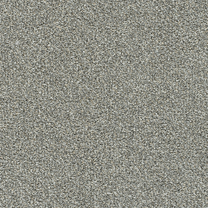 Autumn Glow I Polyester Grand Night 5062 Carpet Textured 1
