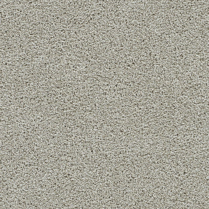 Autumn Glow II Polyester Fairview 5099 Carpet Textured 1