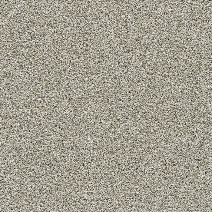 Autumn Glow II Polyester Orchard 5286 Carpet Textured 1