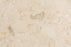 Crema Arte Polished Marble Tile - 24" x 24"