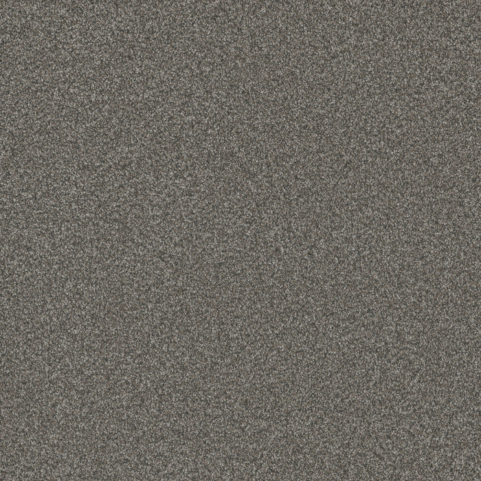 Blazer II Polyester Mill Stone 1970 Carpet Textured 1