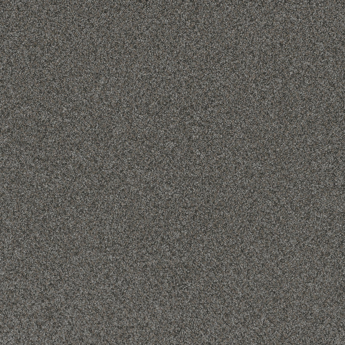Blazer I Polyester Tulsa Twilight 2221 Carpet Textured 1