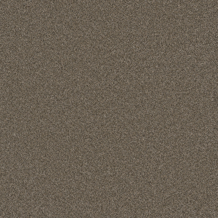 Blazer II Polyester Casa Marina 4032 Carpet Textured 1