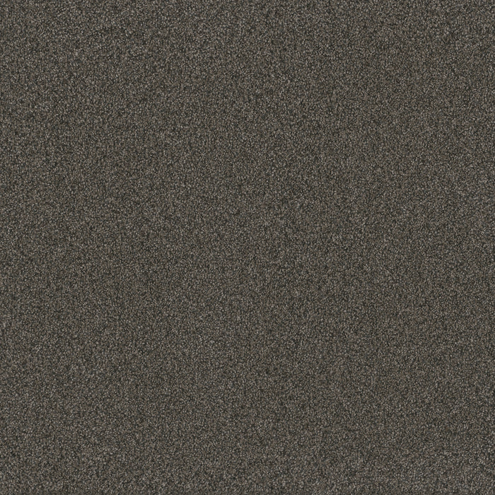Blazer I Polyester Smoky Quartz 4180 Carpet Textured 1